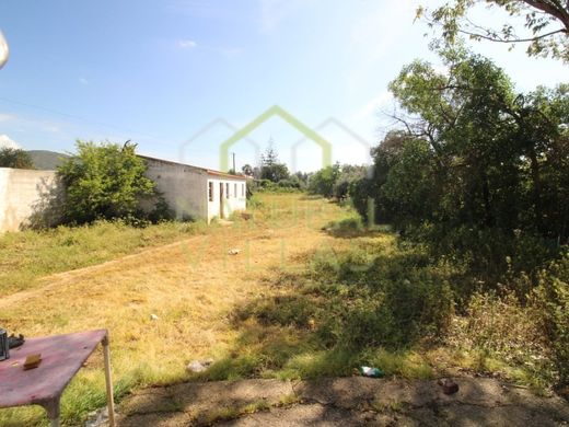 Teren w Faro, Distrito de Faro