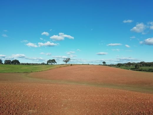 Farma w Santiago do Cacém, Distrito de Setúbal