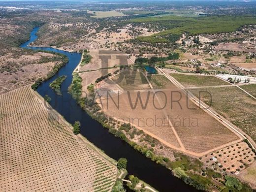 Boerderij in Mora, Distrito de Évora