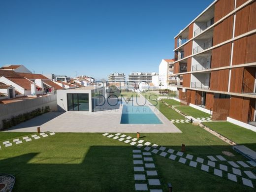 Daire Alcochete, Distrito de Setúbal