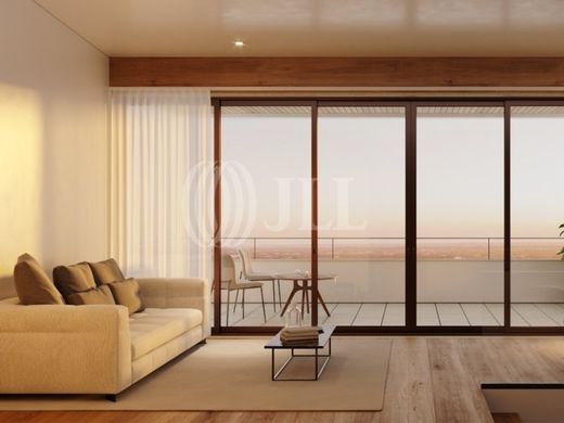 Land in Faro, Distrito de Faro