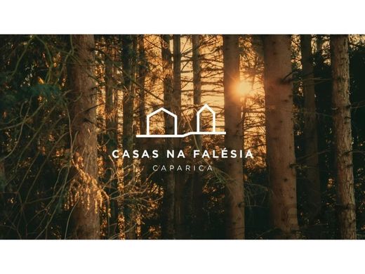 토지 / Odemira, Distrito de Beja