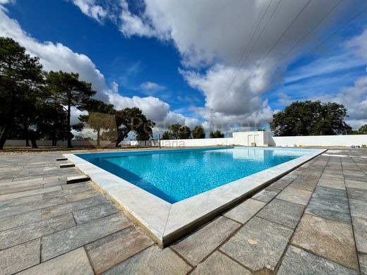 Luksusowy dom w Palmela, Distrito de Setúbal