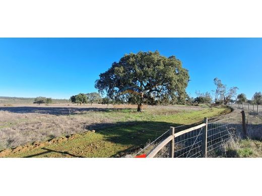 Farma w Viana do Alentejo, Distrito de Évora