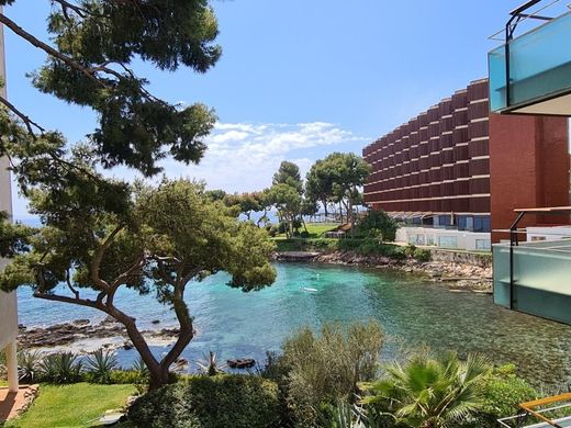 Daire Calvià, Illes Balears