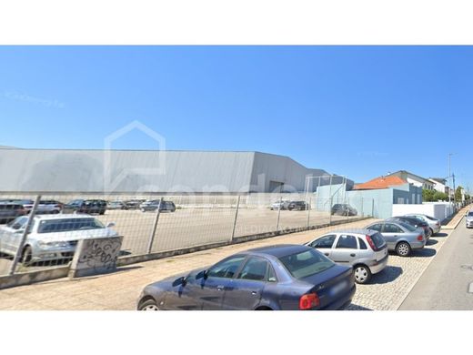 토지 / Matosinhos, Distrito do Porto