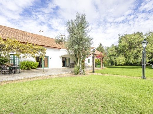 Casa en Estremoz, Évora