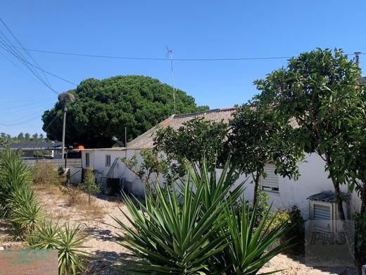 Grândola, Distrito de Setúbalの土地