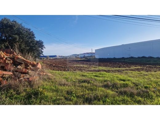Land in Alenquer, Lisbon