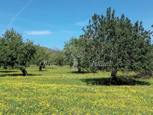 Land in Santa Maria del Camí, Province of Balearic Islands