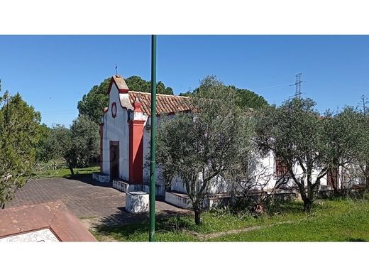 Silves, Distrito de Faroの農園