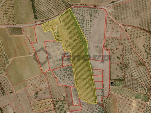 Πολυτελή κατοικία σε Vidigueira, Distrito de Beja