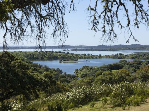Terrain à Reguengos de Monsaraz, Distrito de Évora