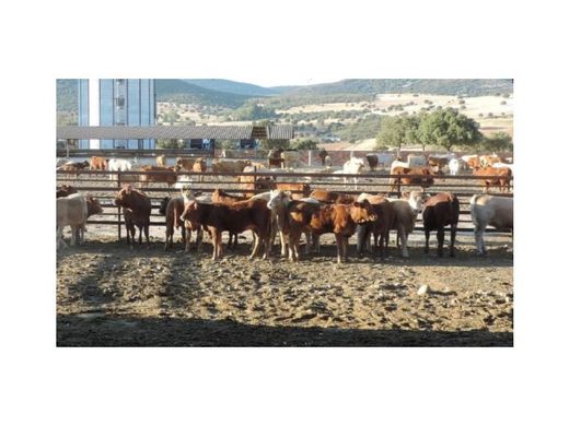 Terrain à Puertollano, Ciudad Real