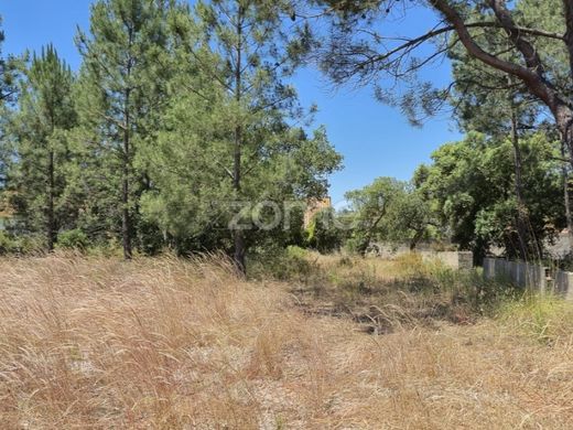 地皮  Seixal, Distrito de Setúbal