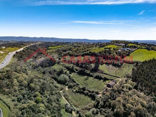 Rural or Farmhouse in Alcobaça, Distrito de Leiria