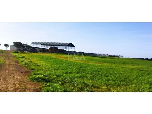 Farm in Castro Verde, Distrito de Beja