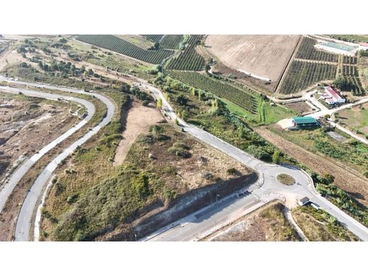 ‏קרקע ב  Alcobaça, Distrito de Leiria