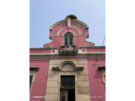 Mansão / Palacete - Alpiarça, Santarém