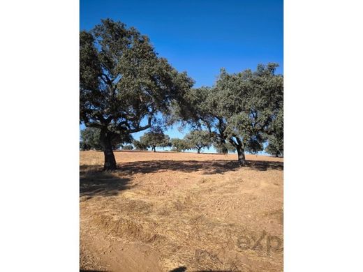 Teren w Beja, Distrito de Beja