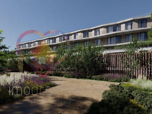 Daire Porto, Distrito do Porto