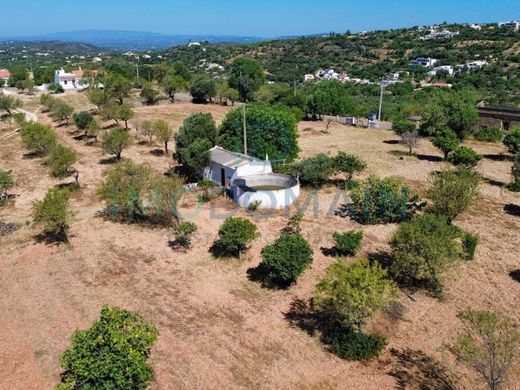 地皮  洛萊, Loulé