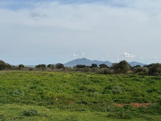 Terrain à Porreres, Province des Îles Baléares