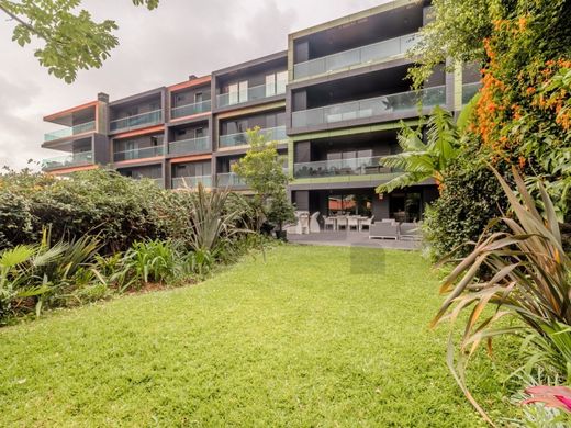 Daire Funchal, Madeira