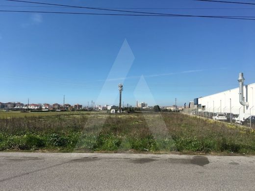 Teren w Aveiro, Distrito de Aveiro