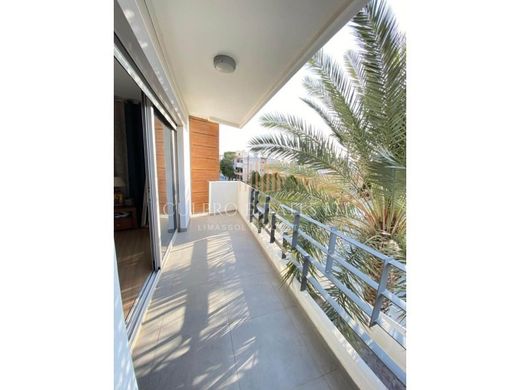 Daire Limasol, Limassol District