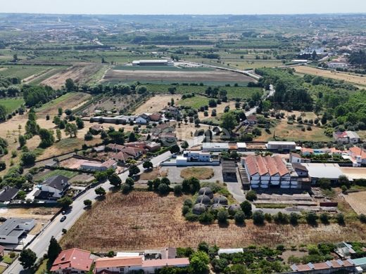 Land in Mealhada, Aveiro