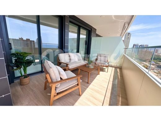 Daire Benidorm, Provincia de Alicante