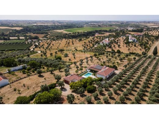 Casa di lusso a Santarém, Distrito de Santarém