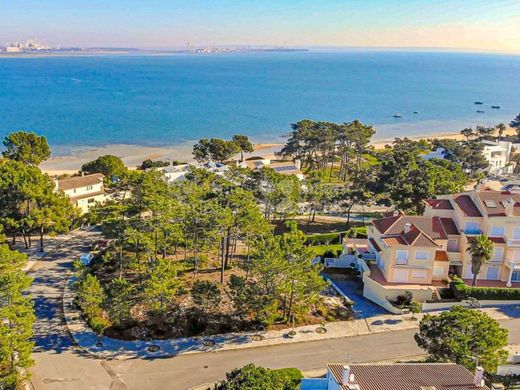 Villa multifamiliale à Grândola, Distrito de Setúbal