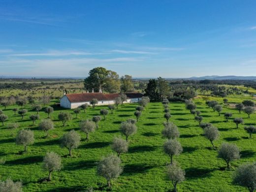 Rural or Farmhouse in Alandroal, Distrito de Évora