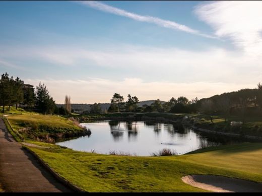 Land in Sintra, Lisbon