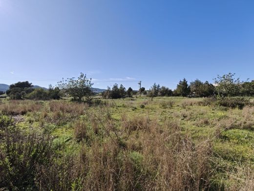 Αγροτεμάχιο σε Santa Eulària des Riu, Illes Balears