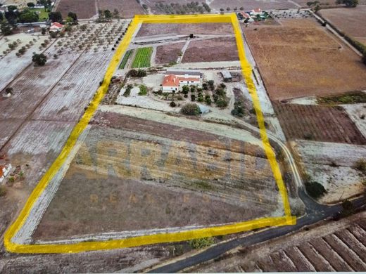 Rural or Farmhouse in Grândola, Distrito de Setúbal