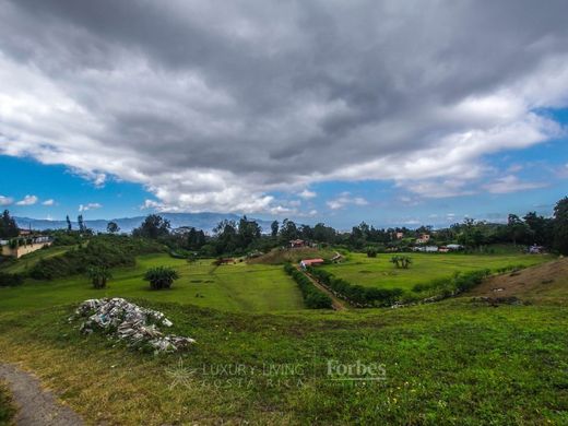 Terrain à San José, Cantón de San José