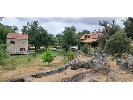 Castelo Branco, Distrito de Castelo Brancoの一戸建て住宅