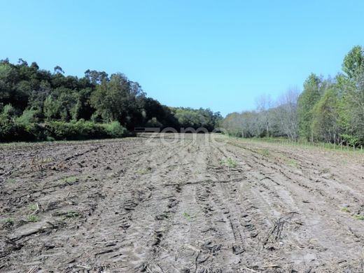Элитный дом, Ponte da Barca, Distrito de Viana do Castelo