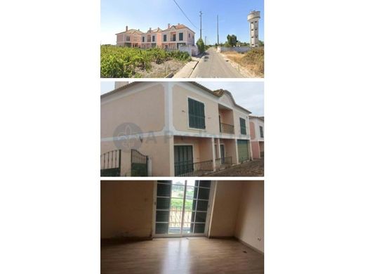 Arsa Alpiarça, Distrito de Santarém