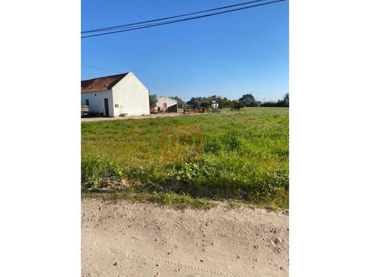 Alcochete, Distrito de Setúbalの土地