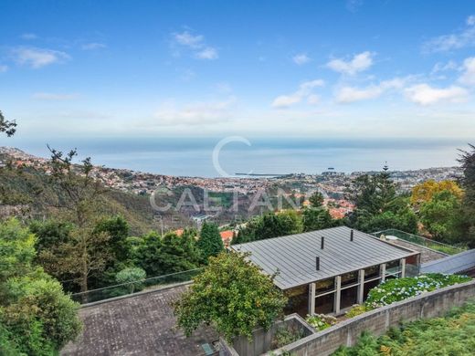 호화 저택 / Funchal, Madeira