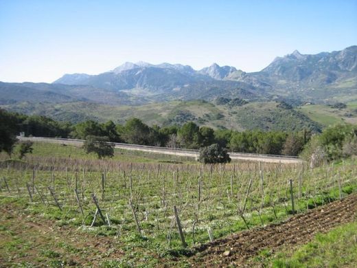 Πολυτελή κατοικία σε Ronda, Provincia de Málaga