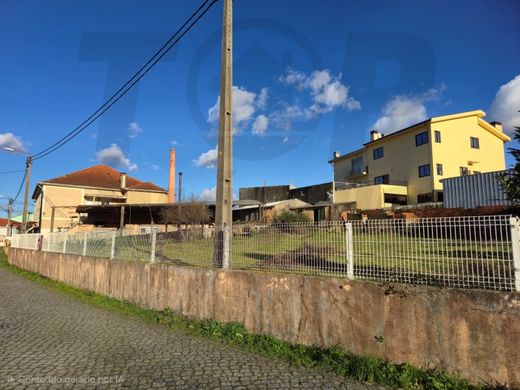 Daire Valongo, Distrito do Porto