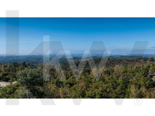 Αγροτεμάχιο σε Monchique, Distrito de Faro