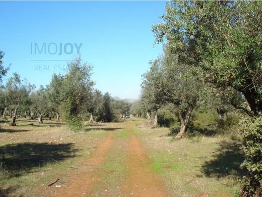 Land in Borba, Distrito de Évora