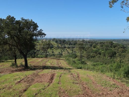 Land in Grândola, Distrito de Setúbal