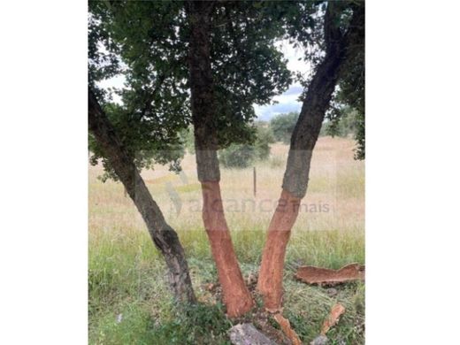 Çiftlik evi Reguengos de Monsaraz, Distrito de Évora